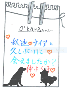 O′hanaちゃんへのメッセージ