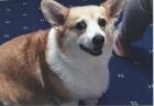 G ちゃんへのメッセージ