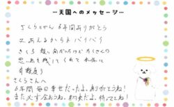 さくらちゃんへのメッセージ
