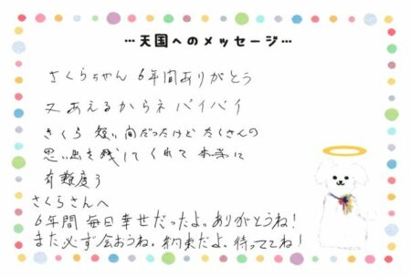 さくらちゃんへのメッセージ