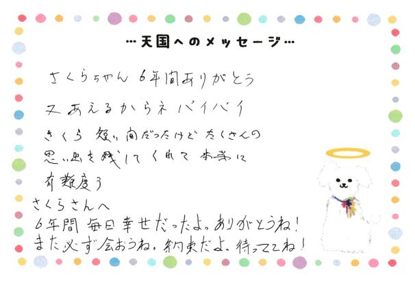 さくらちゃんへのメッセージ