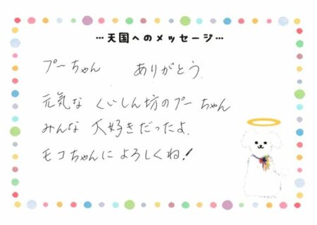 プリンちゃんへのメッセージ