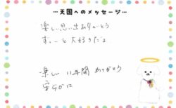 G ちゃんへのメッセージ