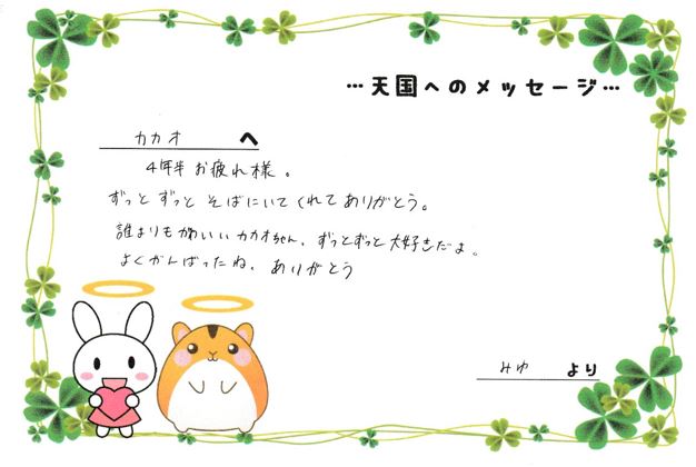 カカオくんへのメッセージ