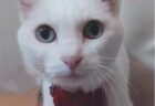 はなちゃんへのメッセージ