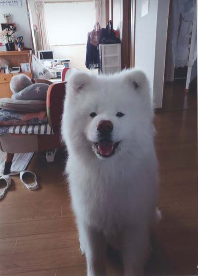 涌谷町　伊藤様　ムックくん