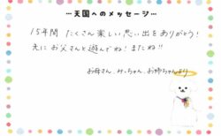 政宗くんへのメッセージ