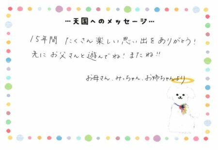 政宗くんへのメッセージ