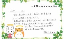 ミルクくんへのメッセージ