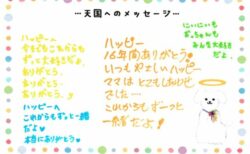 ハッピーくんへのメッセージ