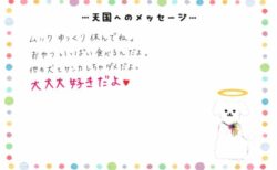 ムックくんへのメッセージ