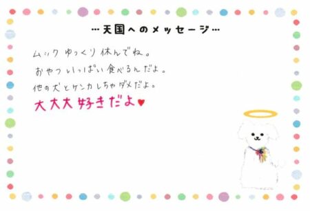 ムックくんへのメッセージ