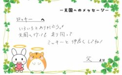 ロッキーくんへのメッセージ