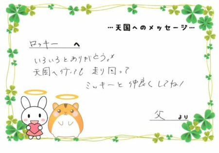 ロッキーくんへのメッセージ