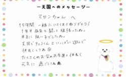 マロンちゃんへのメッセージ