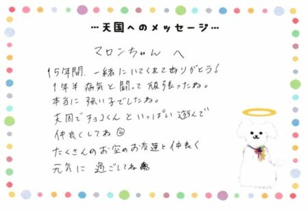 マロンちゃんへのメッセージ