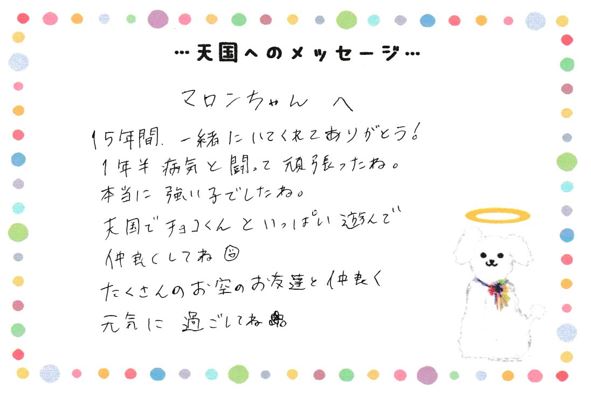マロンちゃんへのメッセージ