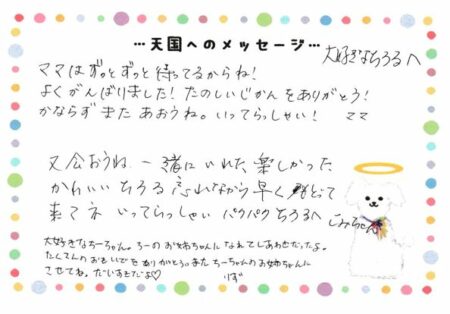 ちろるくんへのメッセージ
