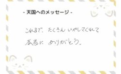 しまちゃんへのメッセージ