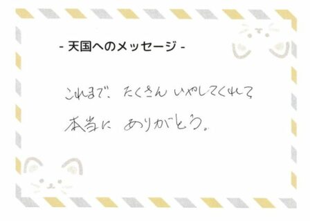 しまちゃんへのメッセージ