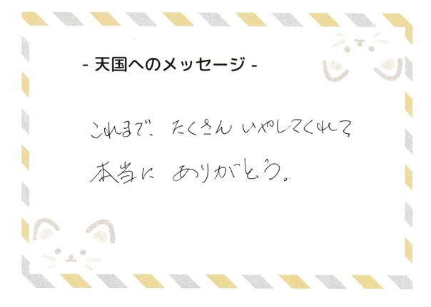 しまちゃんへのメッセージ