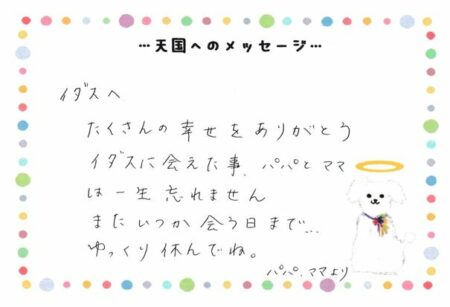 イダスくんへのメッセージ