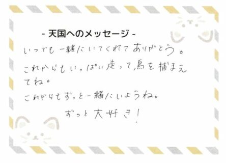 海風くんへのメッセージ