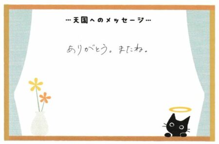 椿ちゃんへのメッセージ