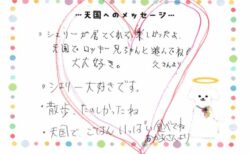 シェリーちゃんへのメッセージ