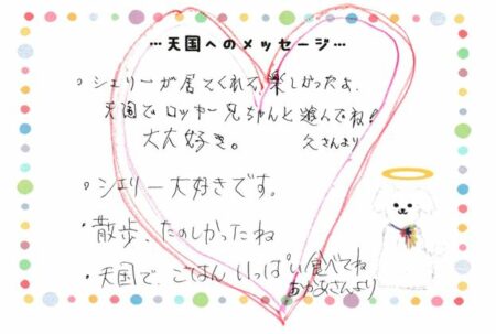 シェリーちゃんへのメッセージ