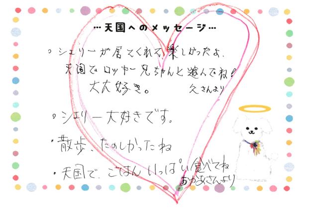 シェリーちゃんへのメッセージ