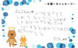 チョコちゃんへのメッセージ