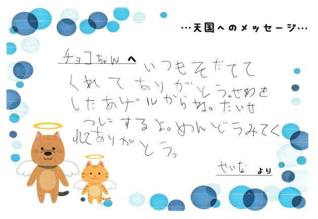 チョコちゃんへのメッセージ