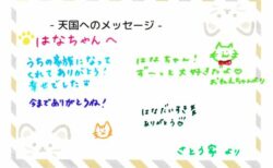 はなちゃんへのメッセージ