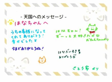 はなちゃんへのメッセージ