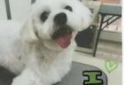 エルくんへのメッセージ