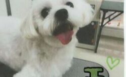K 市　T 様　エルくん