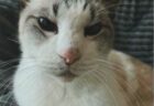 S くんへのメッセージ
