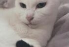 うめちゃんへのメッセージ