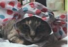 加美町　O 様　ソラくん