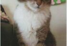 まるくんへのメッセージ