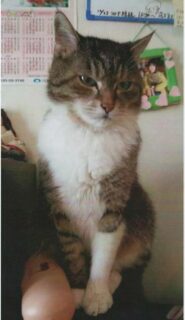美里町　N 様　まるくん
