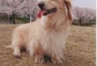 杏ちゃんへのメッセージ