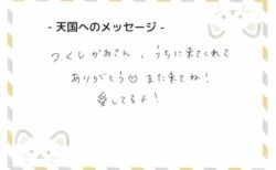 つくしちゃんへのメッセージ