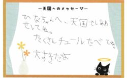 ひな子ちゃんへのメッセージ