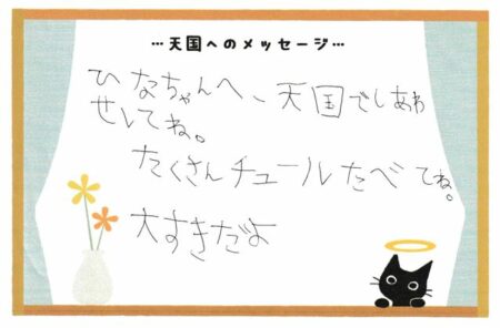 ひな子ちゃんへのメッセージ