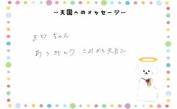 シロちゃんへのメッセージ