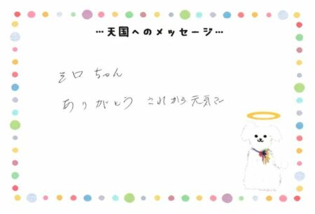 シロちゃんへのメッセージ