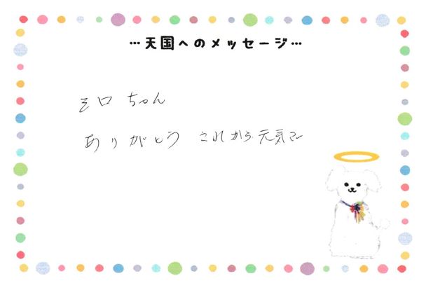 シロちゃんへのメッセージ