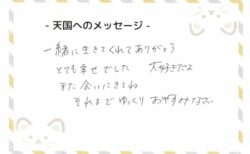 S くんへのメッセージ